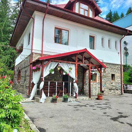 Casa Olguta Apartment Sinaia Exterior photo