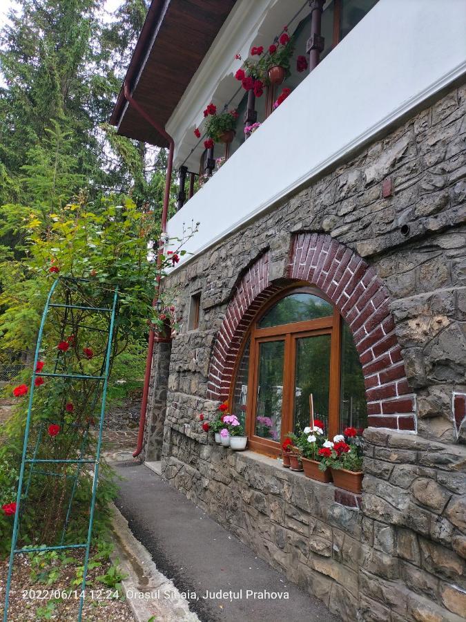 Casa Olguta Apartment Sinaia Exterior photo
