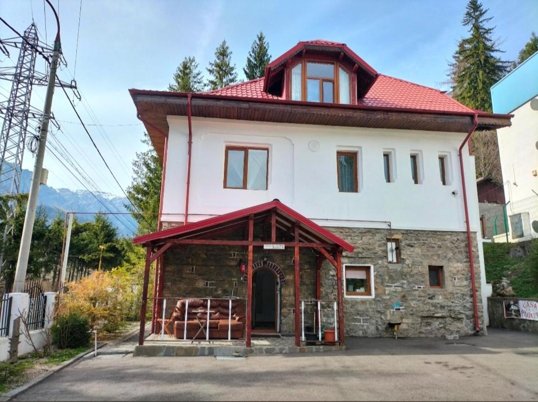 Casa Olguta Apartment Sinaia Exterior photo