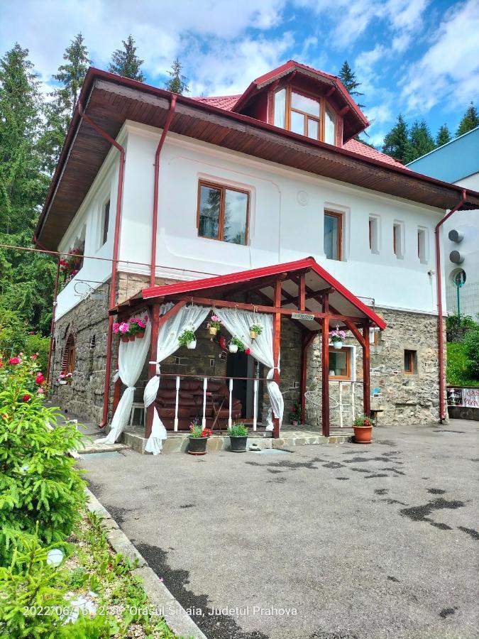 Casa Olguta Apartment Sinaia Exterior photo