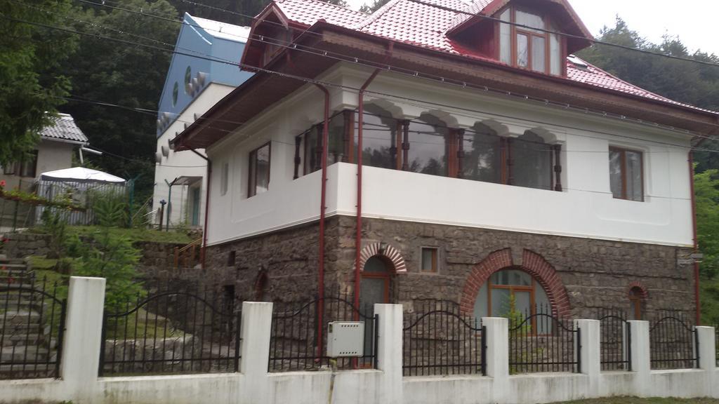 Casa Olguta Apartment Sinaia Exterior photo