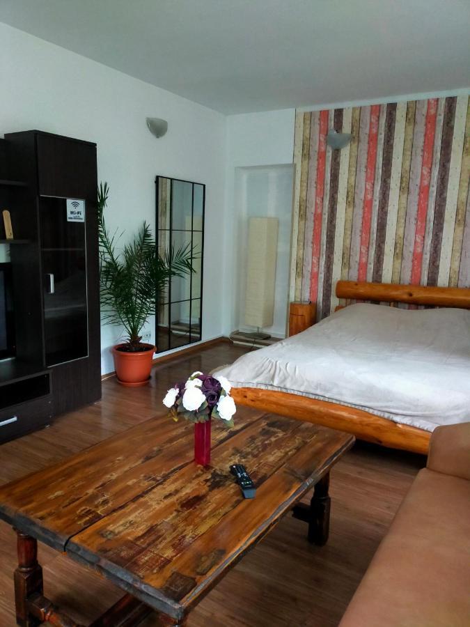 Casa Olguta Apartment Sinaia Room photo