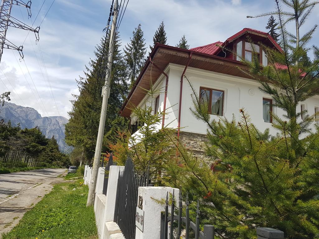 Casa Olguta Apartment Sinaia Exterior photo