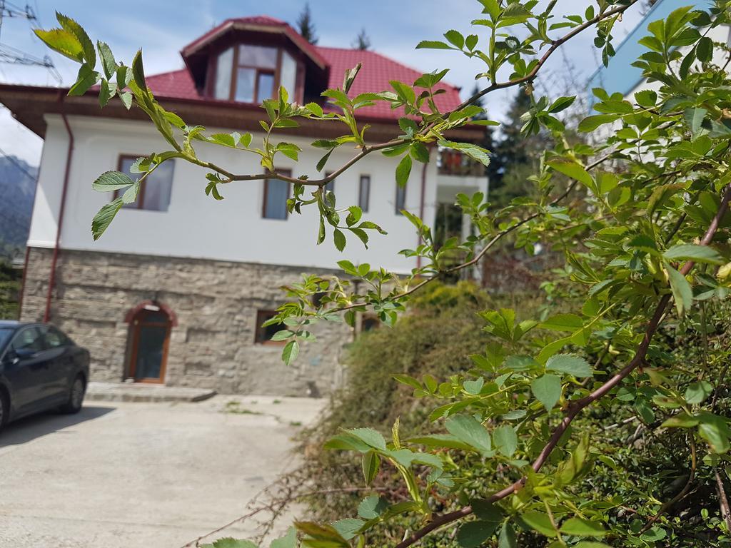 Casa Olguta Apartment Sinaia Exterior photo