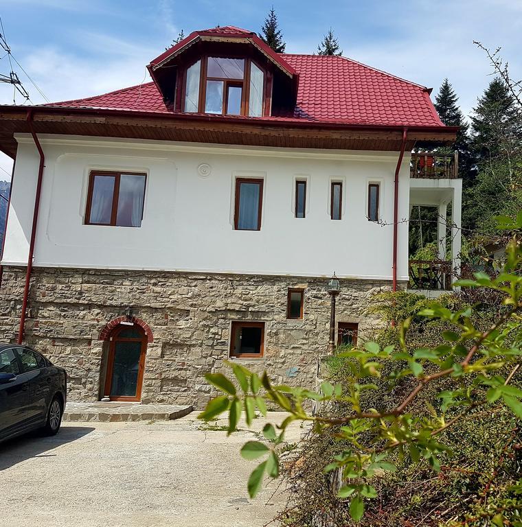 Casa Olguta Apartment Sinaia Exterior photo